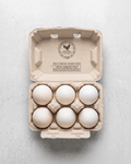 초지방목 오리알 Pasture-Raised Duck Eggs