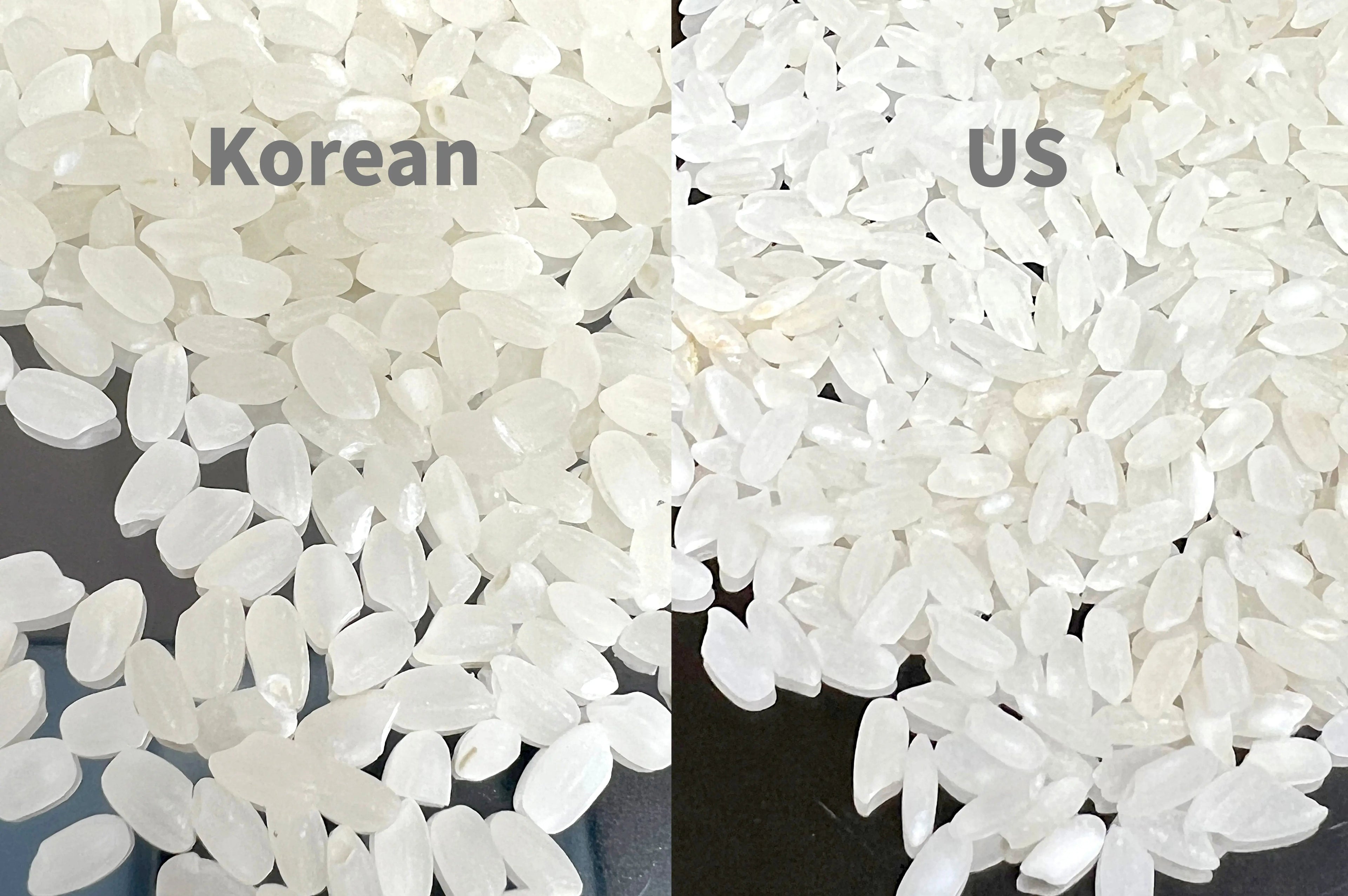 특등급 삼광 쌀 Premium Korean Samkwang Rice 1KG